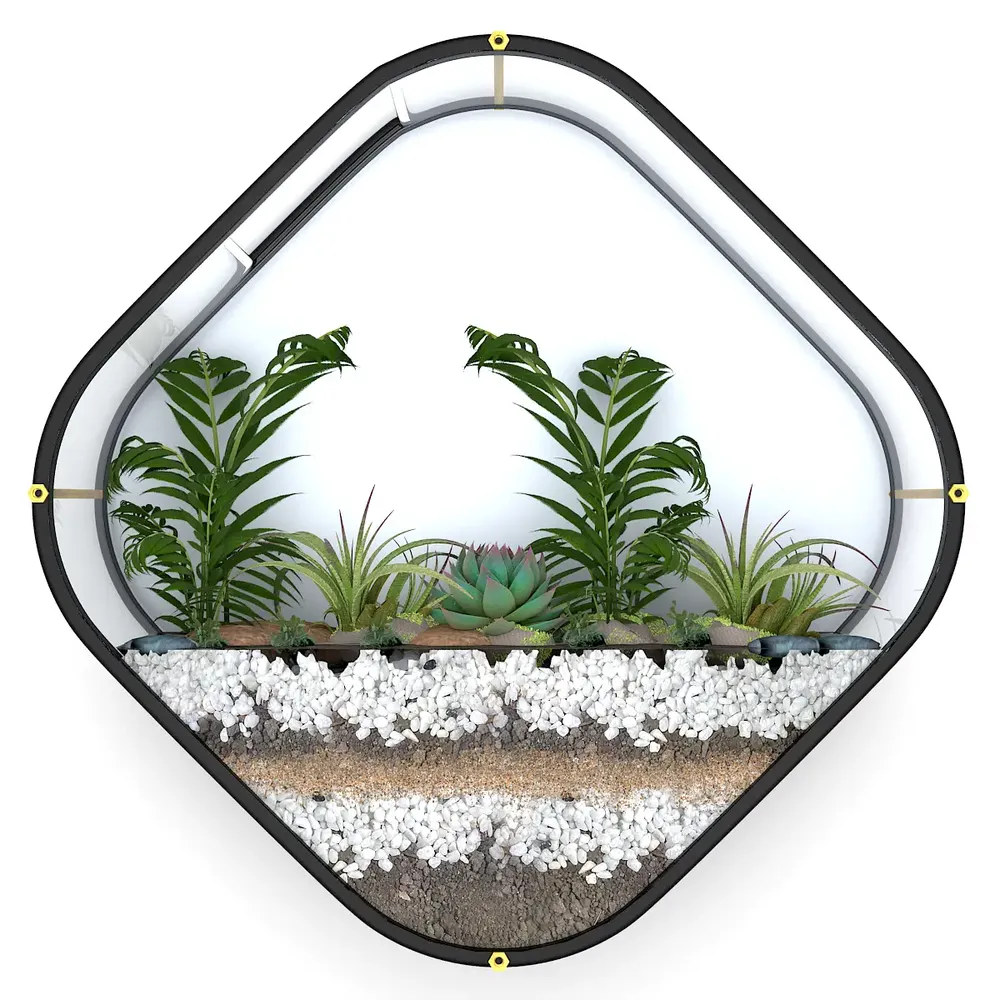 Beautiful Diamond Shaped  Transparent Wall Terrarium