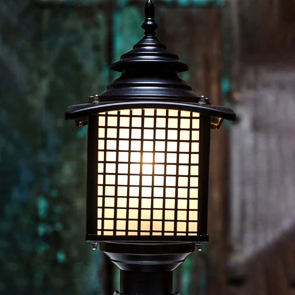 Caged Designer Black Outdoor Light