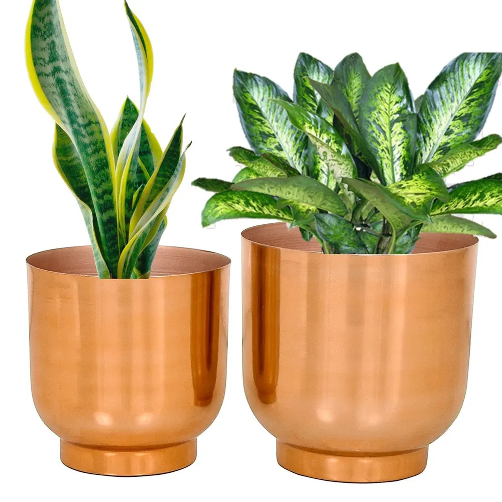 Chic Bronze Metal Mini Desk Planter Set of 2