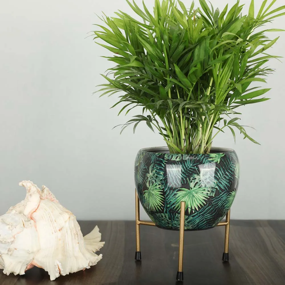 Classic Black Resilient Metal Planter Stand Set Of 1