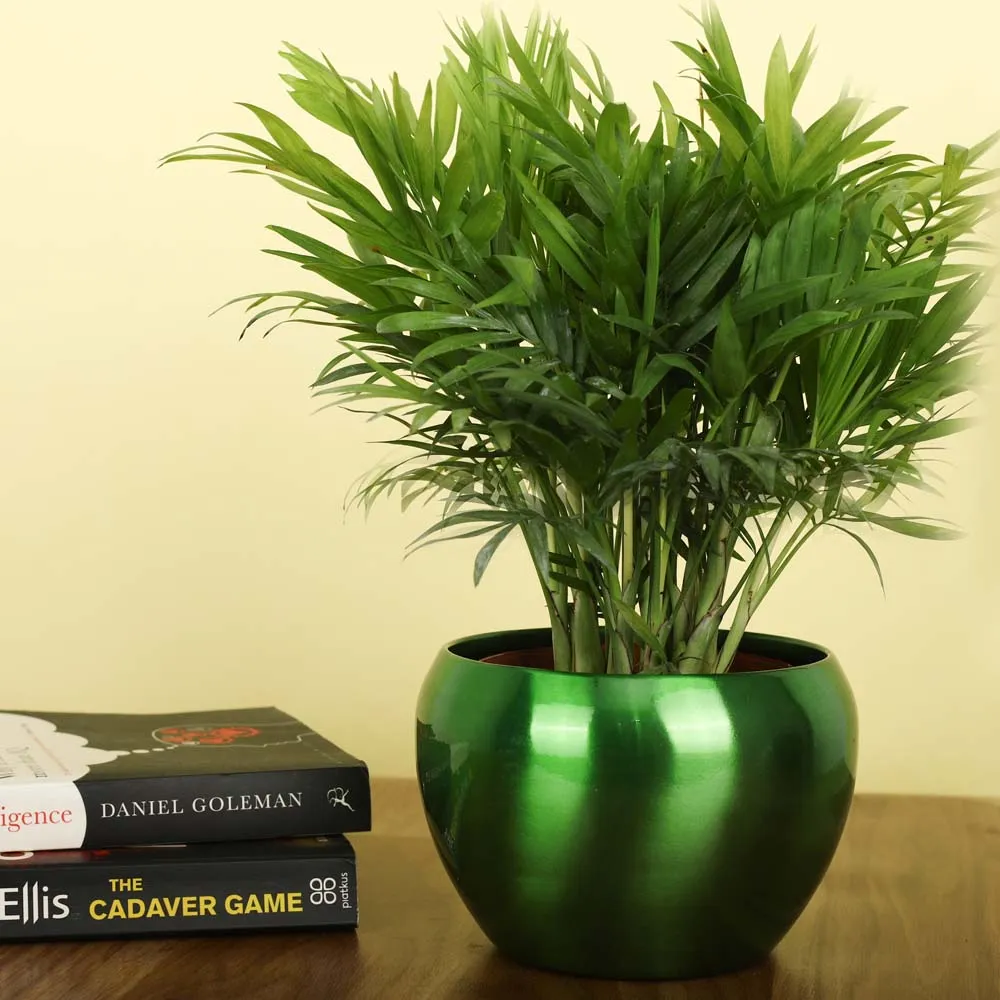 Classic Bright Green Resilient Metal Plant Pot Set Of 1