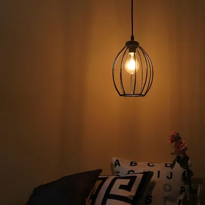 Classic Royal Black Metal Pendant Hanging Lamp