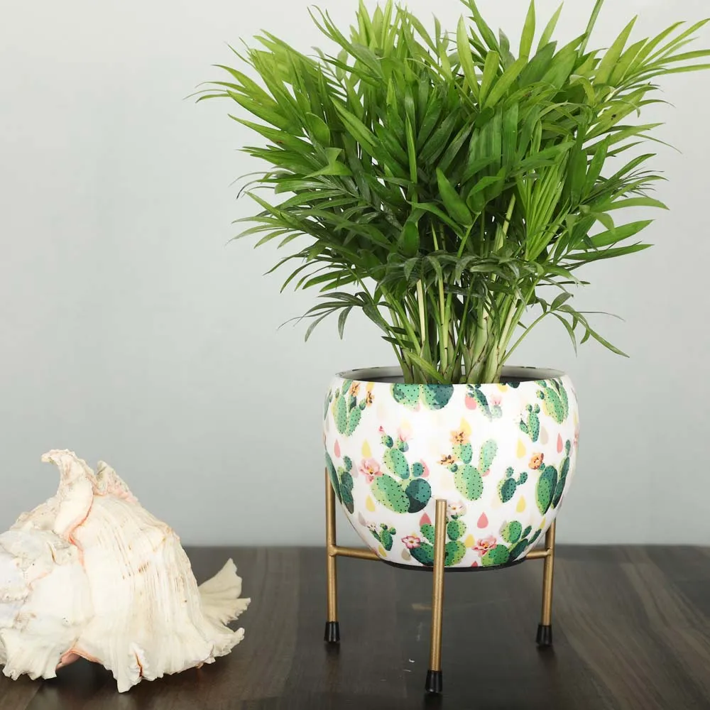 Classic White and Gold Resilient Metal Planter Stand Set Of 1