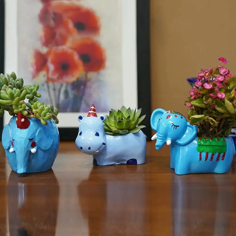 Cute Fatty Animals Desk Planter Flower Pot for Home Decor Set of 3