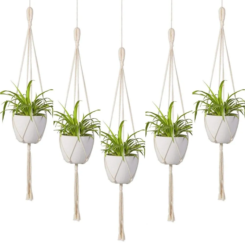 Designer Minimalist Plant Hanger Without Pot Set of 5