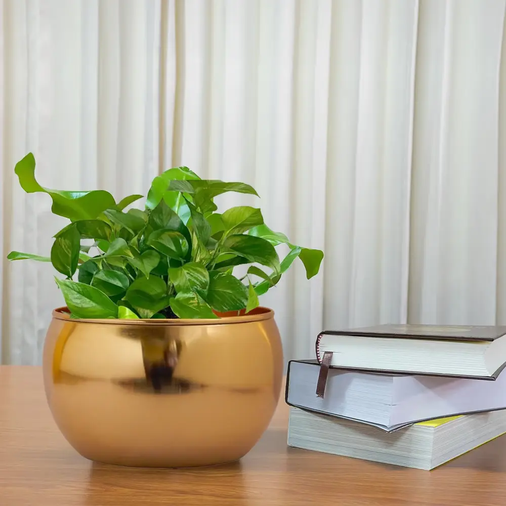 Ecofynd Gold Apple Metal Plant Pot