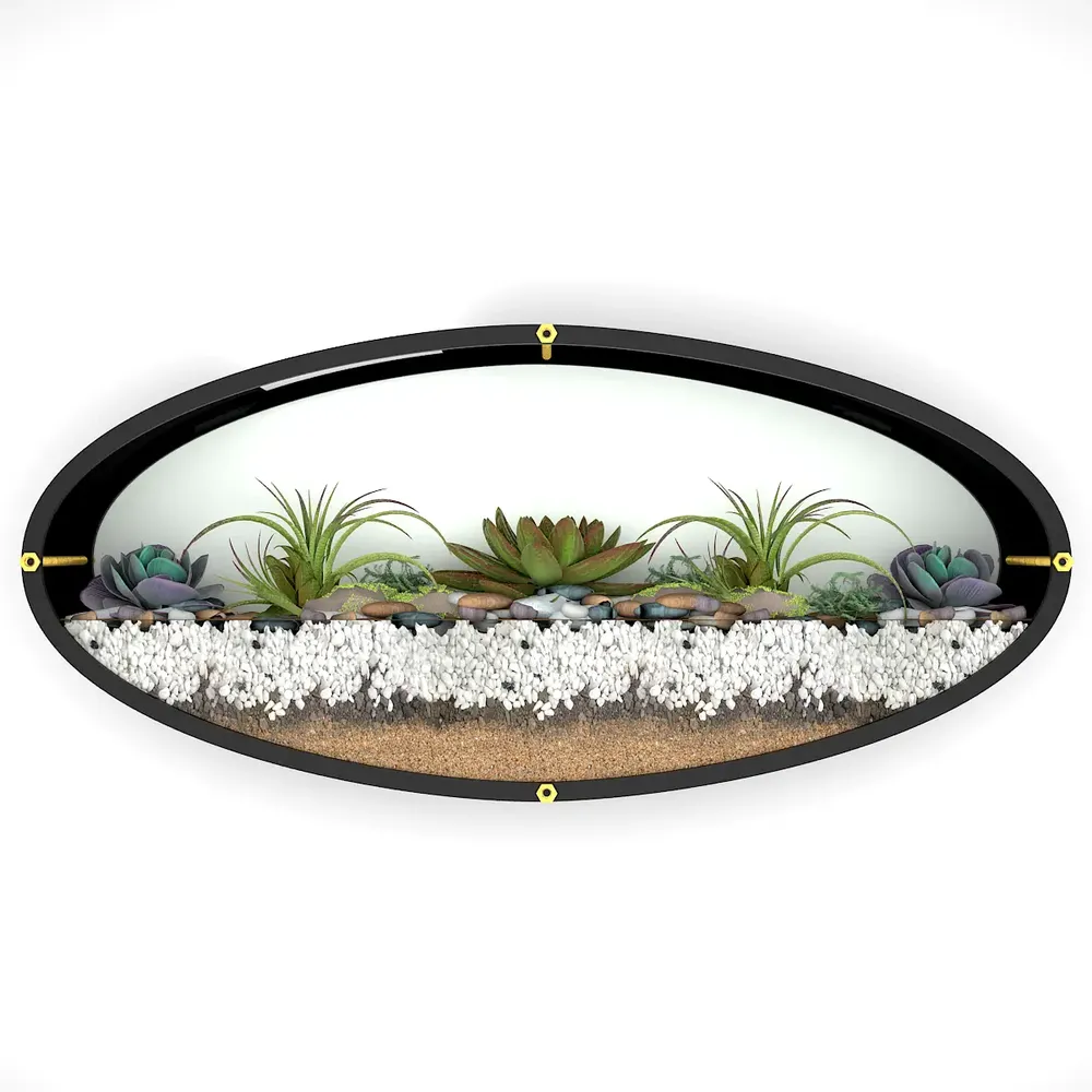 Elegant Oval Transparent Wall Terrarium
