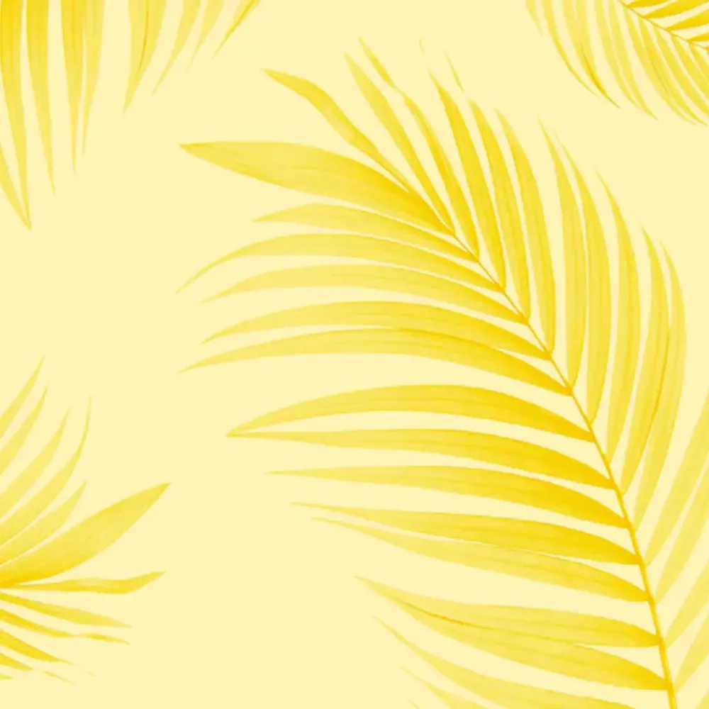 WallMantra Elegant Palm Fronds Premium Quality Wallpaper