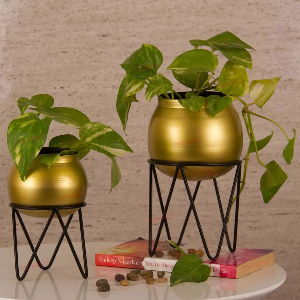Fine Gold-Toned Metal Table-Top Planters With Black Stands