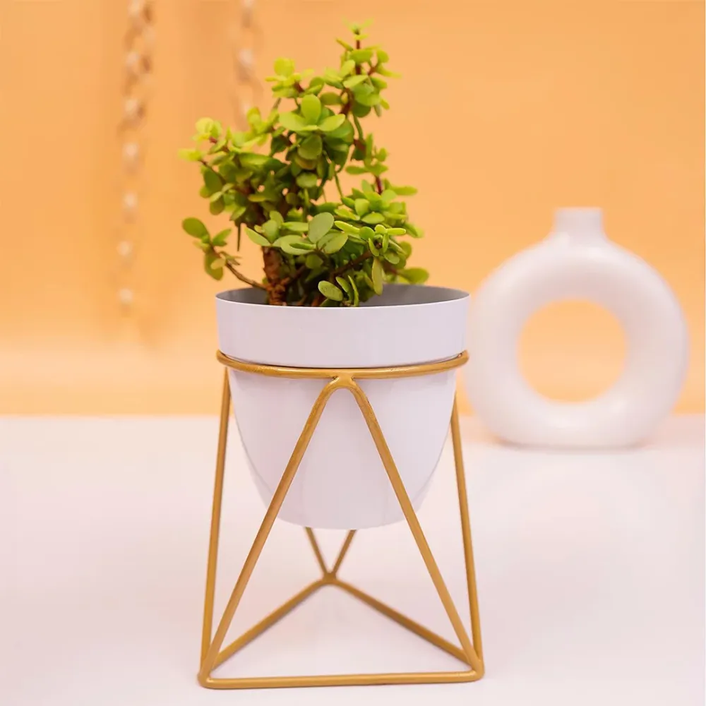 Frosty White and Gold Resilient Metal Plant Pot