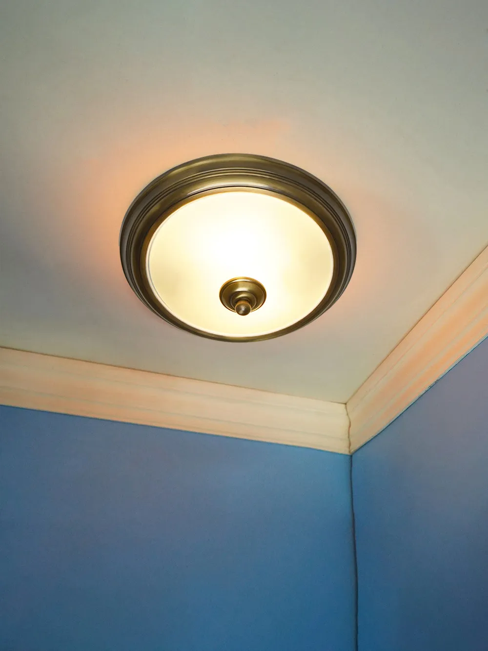 Golden Edged Frosted Glass Ceiling Light