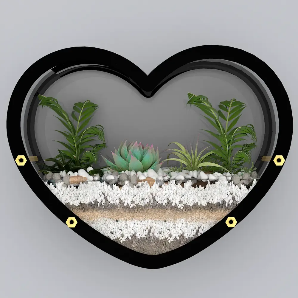 Heart Shaped Transparent Wall Terrarium
