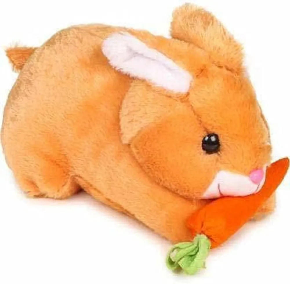 Little Mushy Bunny With Carrot Soft Toy
