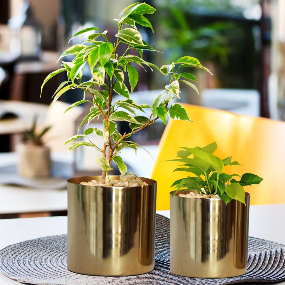 Luxurious Glossy Gold Metal Mini Desk Planter- Set of 2
