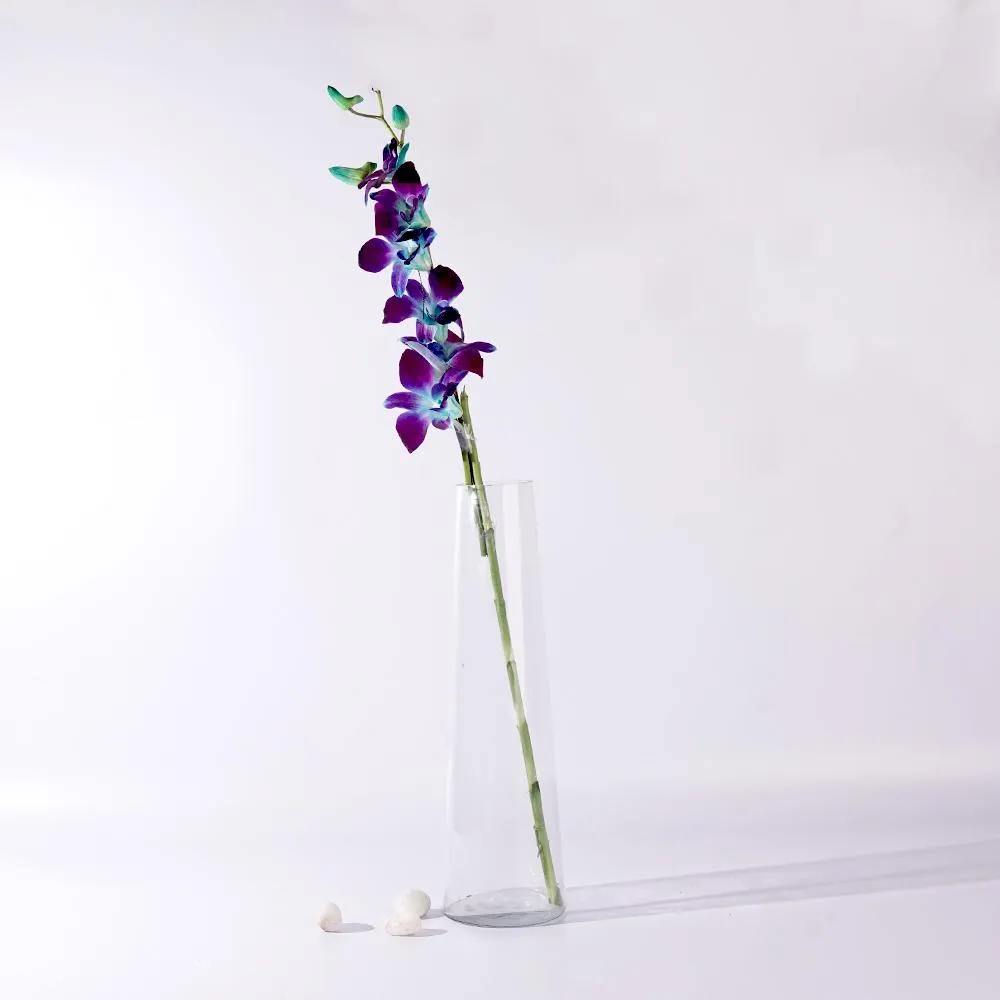 Minimalistic Graceful Tapered Glass Vase