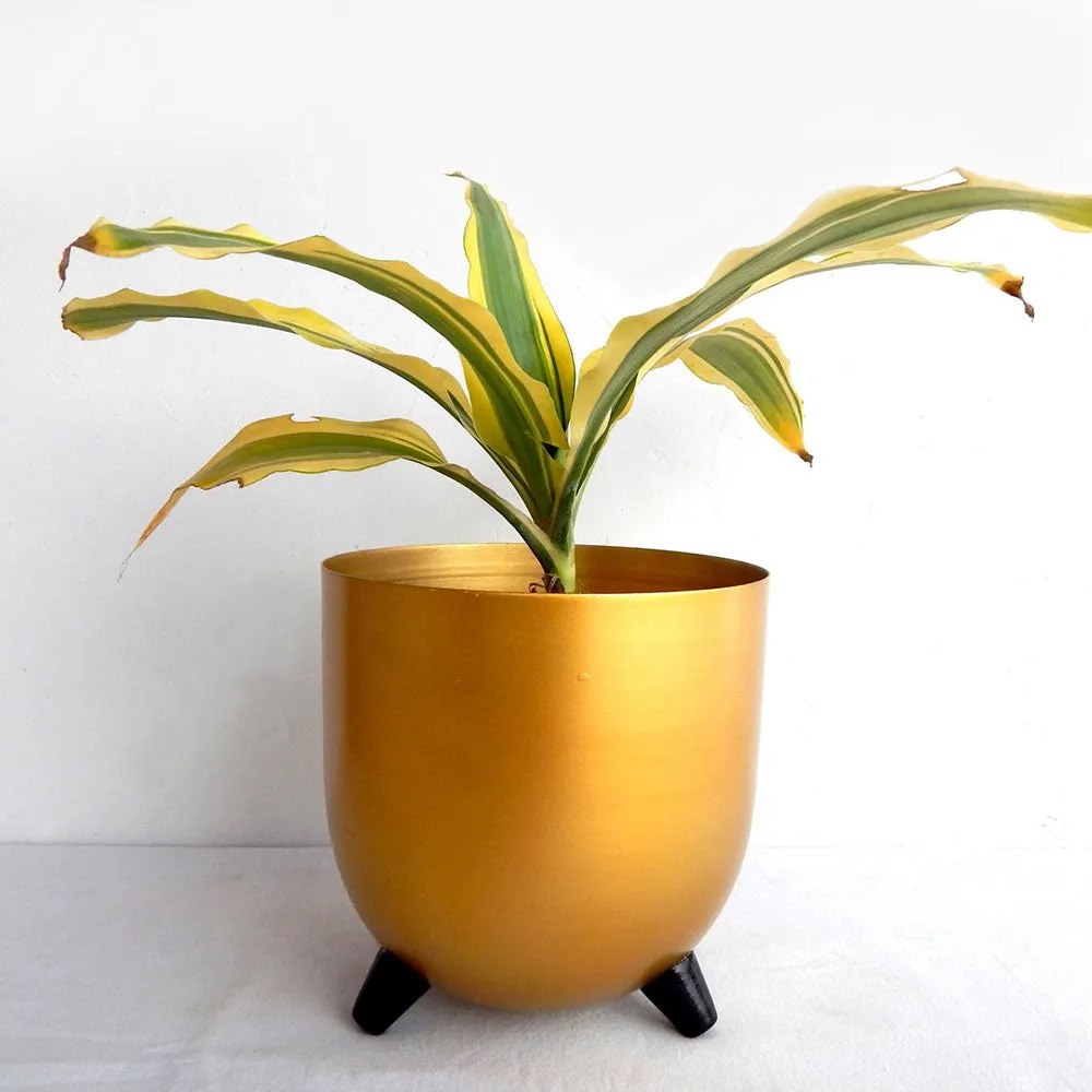 Rich Lustrous Gold Metal Plant Pot Set Of 1 & 2