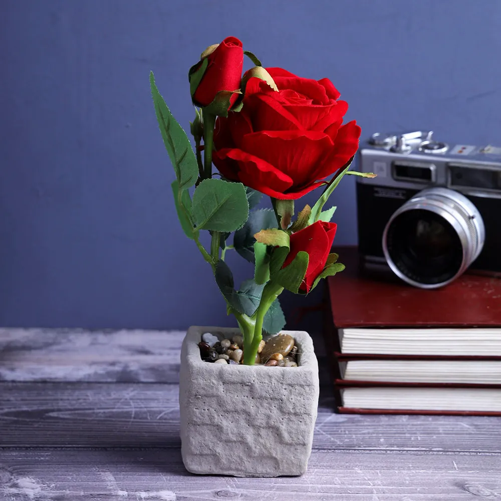 Rustic Designer Square Flower Pot With Red Flower