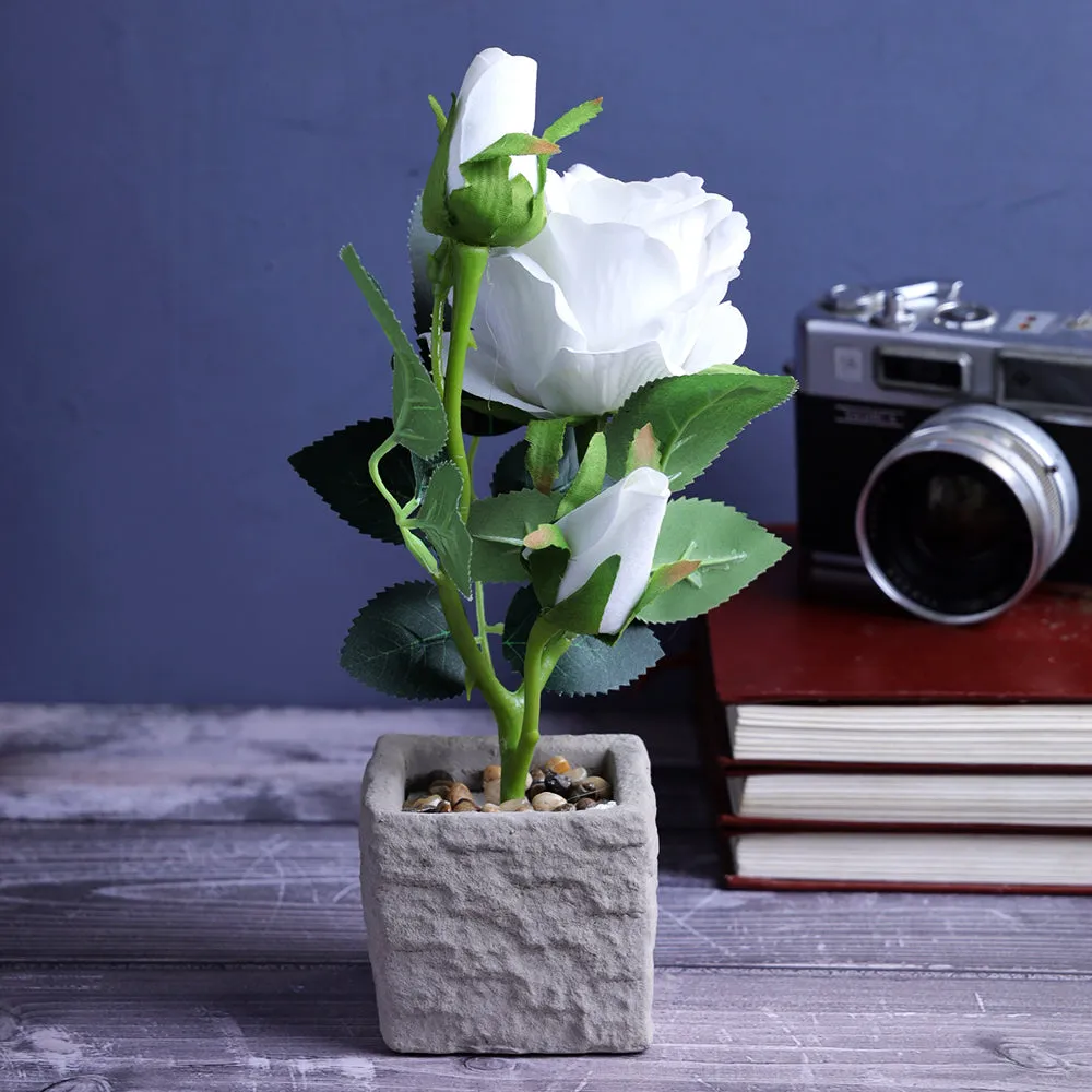 Rustic Designer Square Flower Pot With White Flower