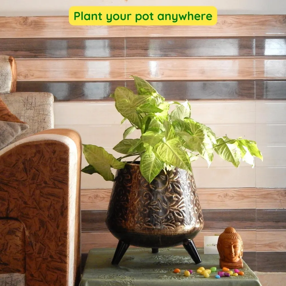 Set of 2 Aesthetic Gold & Black Textured Indoor Metal Plant Stand with Pot