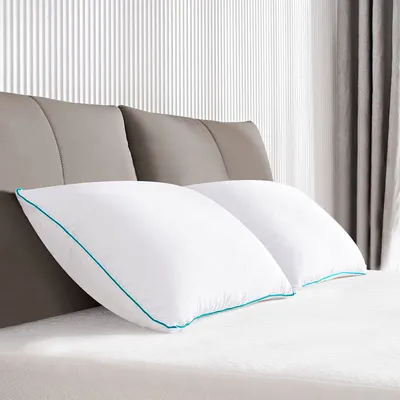 Snug Hollow Fibre Sleeping Pillow (Set of 2, 20*30 inches)
