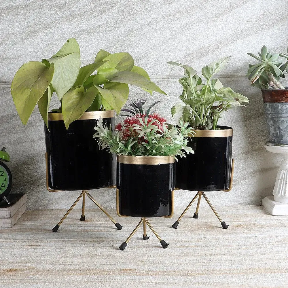 Stunning Black & Gold Designer Metal Planter Set of 3