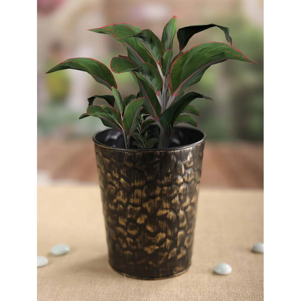 Stunning Black Stone Design Resilient Metal Plant Pot Set Of 1