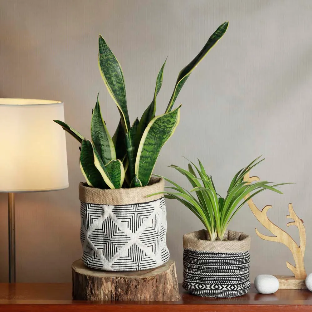 Traditional Printed Grey Cotton & Jute Planters Set Of 2