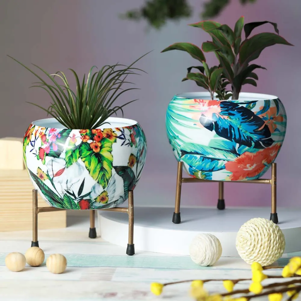 Tropical Multi-Hued Resilient Metal Plant Pots With Stand Set Of 2